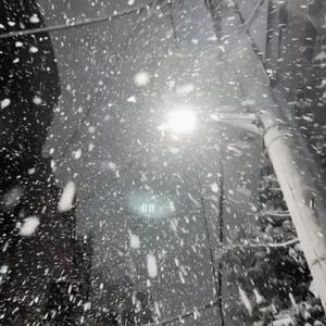 欧美激情高清免费不卡
