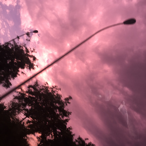 欧美激情高清免费不卡
